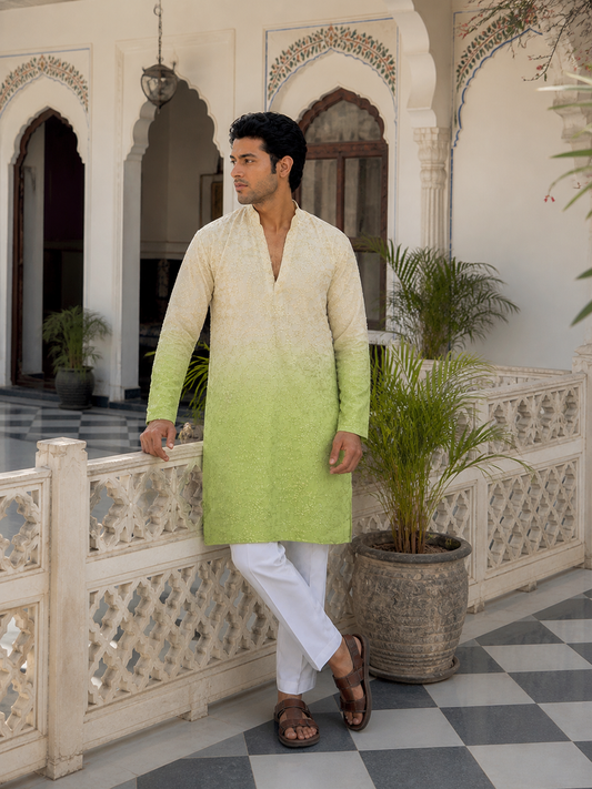 PALLAV OMBRE KURTA